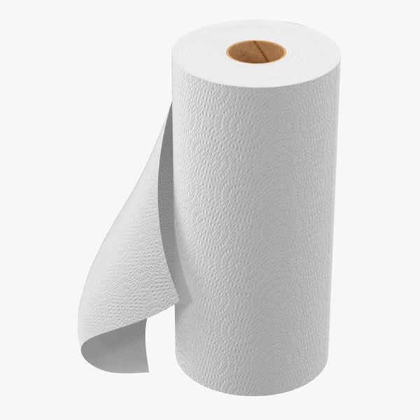 Paper Towel Roll